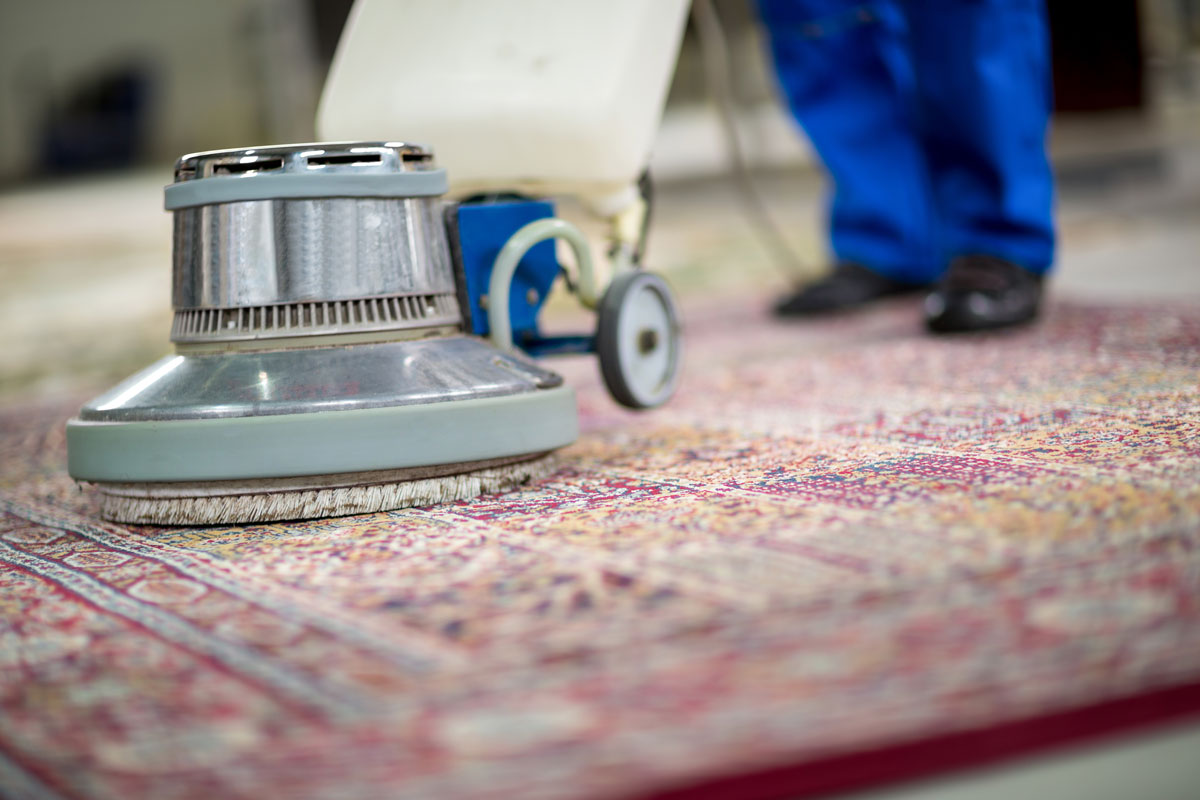 Elevating Home Hygiene with Expert Carpet Cleaning