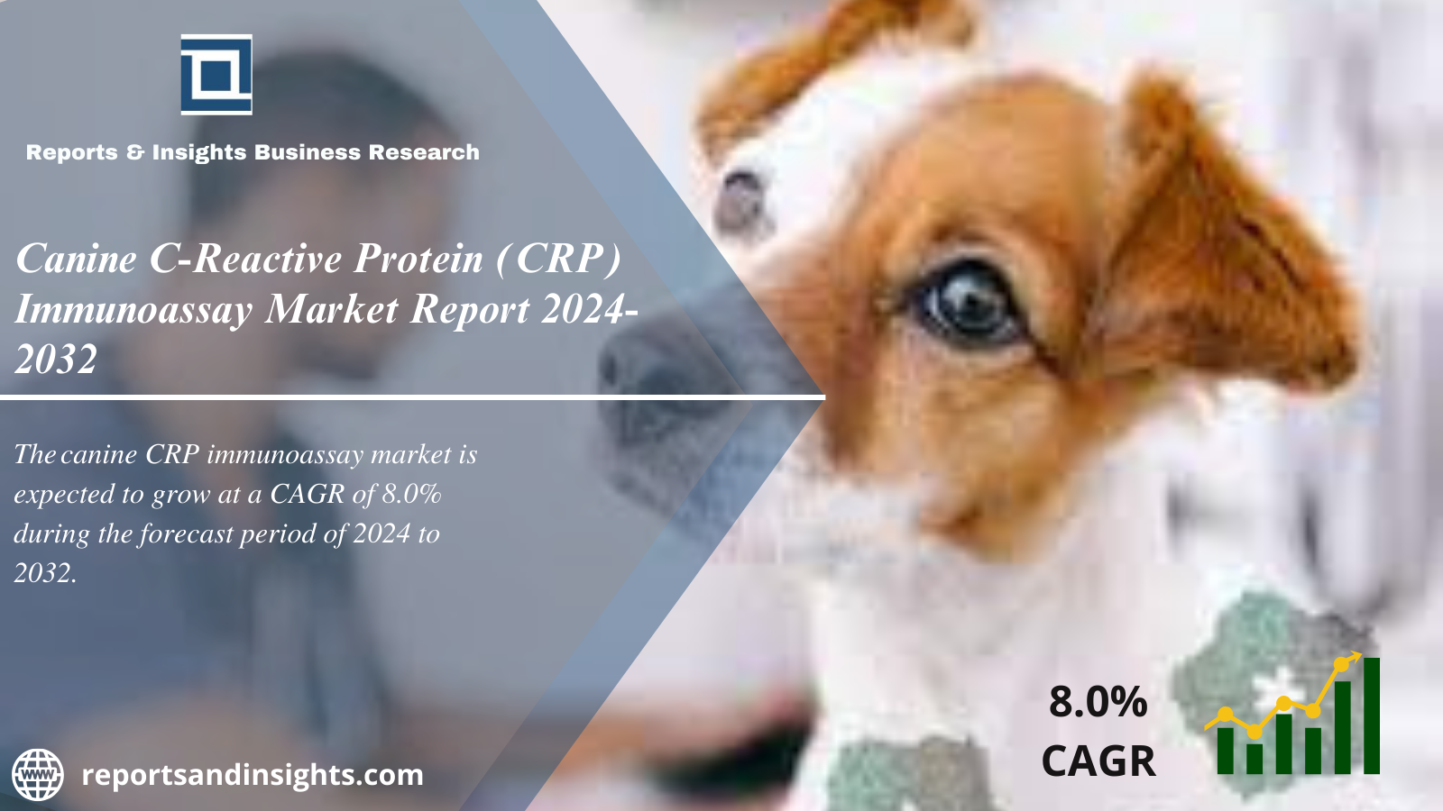 Canine C-Reactive Protein (CRP) Immunoassay Market Research Report 2024 to 2032 : Size, Share, Growth and Opportunities