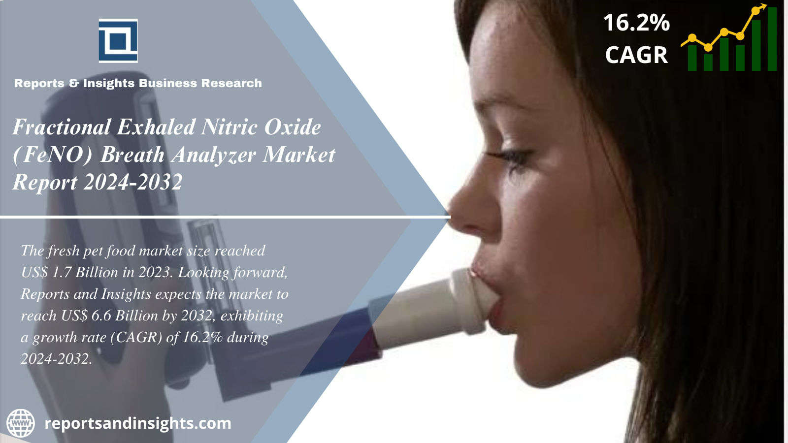 Fractional Exhaled Nitric Oxide (FeNO) Breath Analyzer Market 2024 to 2032: Industry Share, Trends, Growth, Size, Share and Opportunities