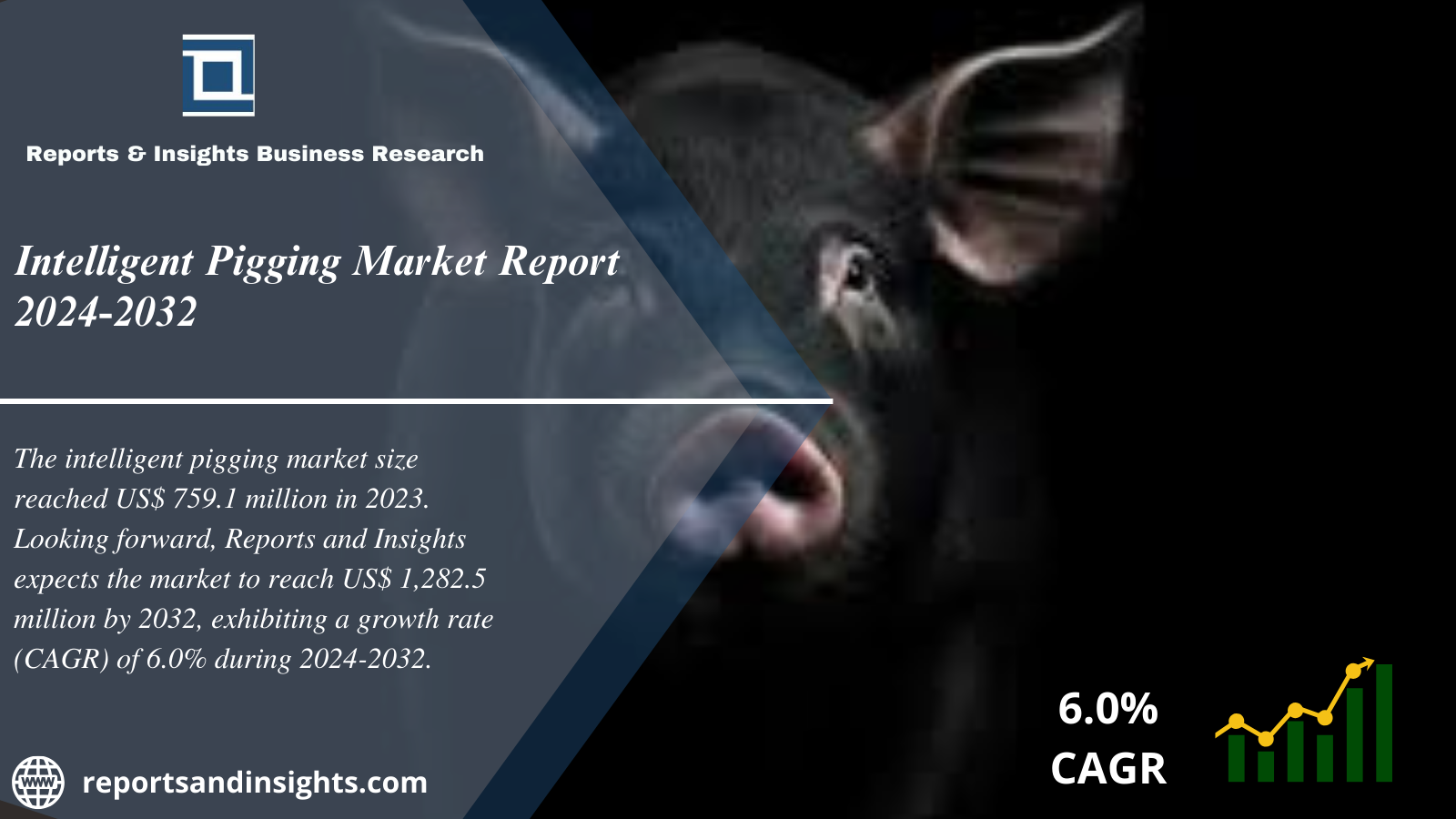 Intelligent Pigging Market Size, Share, Trends, Analysis and Research Report 2024 to 2032
