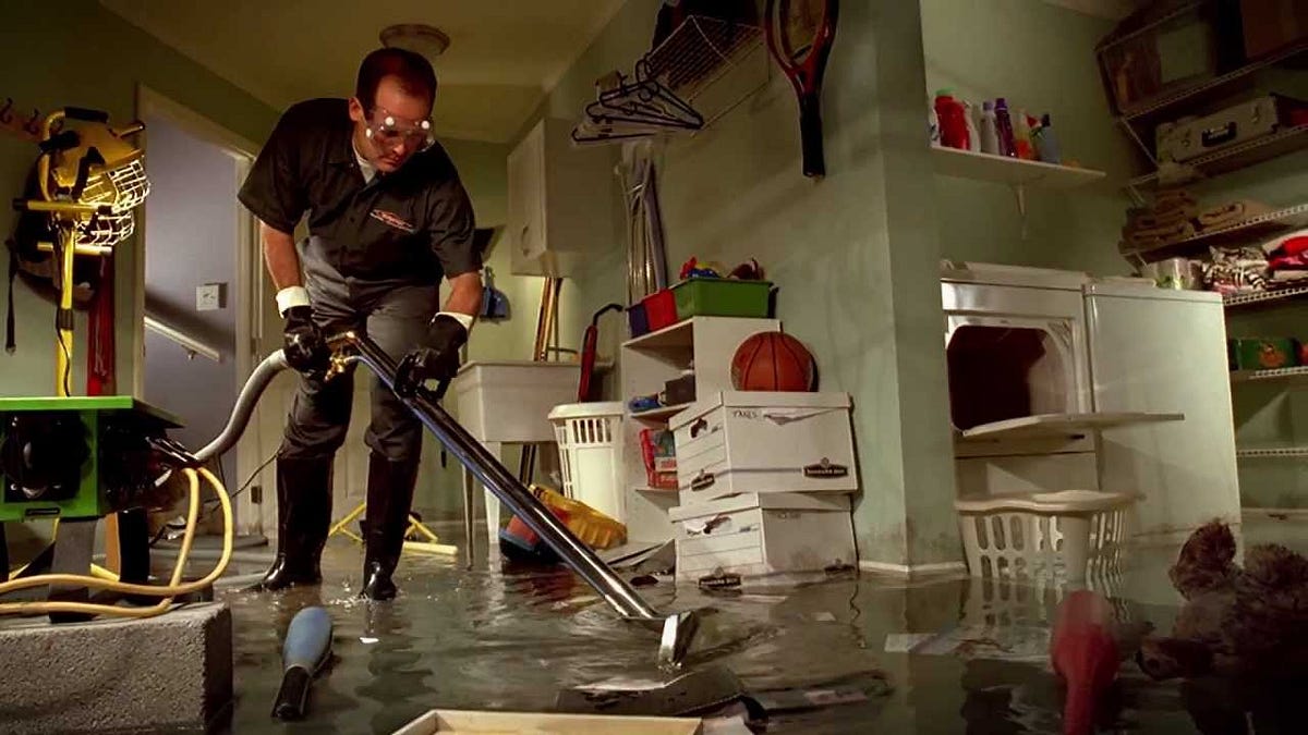 Ensuring a Safe Environment: The Role of Professional Basement Cleanup Services in Mentor