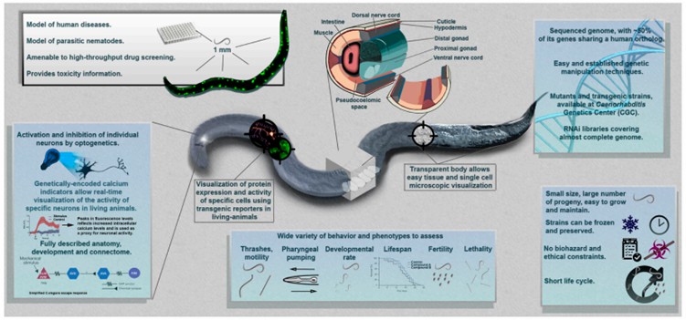 High-Throughput Drug Screening Platforms