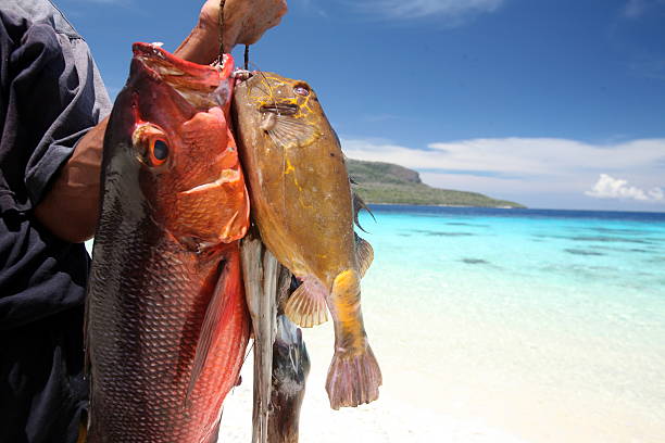 Exploring the Riches of Sport Fishing in Jaco, Costa Rica